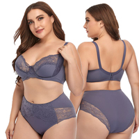 Sexy Lace Bra and Brief Sets for Fat Women, Big Boobs