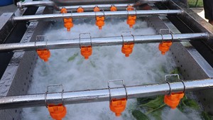 스테인레스 스틸 코르타도라 데 프루타스 Y 베르두라스 - Product Image 5