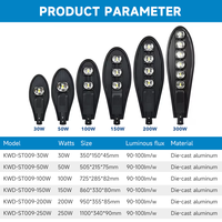 Lampadaires extérieurs en aluminium de qualité supérieure 30w 50w 100w 150w 200w 250w, lampes de rue étanches IP66, lampadaires LED COB