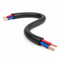 Câble flexible RVV en cuivre pur, 2 conducteurs, 1 mm², 1,5 mm², fil isolé gainé pour système de contrôle d'éclairage, longueur personnalisée, OEM ODM