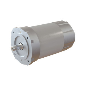 Motor de Corriente Continua Amer MP56 de 56 mm, Imán Permanente, Montaje con Brida, Tipo Escobilla - Product Image 5
