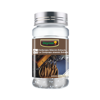Capsules d'extrait de champignon Cordyceps Sinensis à marque privée, capsules de poudre d'extrait de Cordyceps Militaris