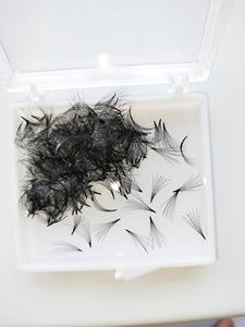 OEM 4D-16D Camelia Extensions de Cils Individuels Nouveau Soft Vietnam Vente en gros Personnalisé Noir Sexy Mix DD Beauty Extensions de Cils - Product Image 5