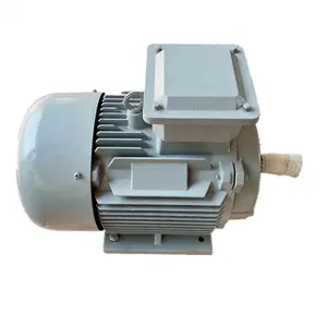 Generatore a magneti permanenti a basso numero di giri 220v ca alternatore Pmg prezzo 5kw