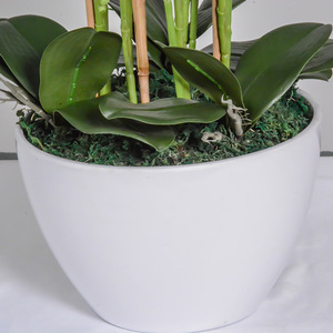 Florero de decoración del hogar planta viva terciopelo blanco en maceta Yaleen <span class=keywords><strong>flores</strong></span> <span class=keywords><strong>artificiales</strong></span> Phalaenopsis Orquídeas Moradas 70cm maceta de orquídeas falsas - Product Image 4