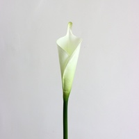 Nouvel Arrivage – Fleurs Artificielles Calla Lily en PU de Haute Qualité pour Décoration de Mariage, Centre de Table et Allée Nuptiale