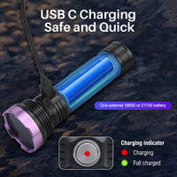 Boruit lampu senter UV 13W 365nm, lampu LED Ultraviolet isi ulang USB Mini untuk kucing Ore tinea kulit kalajengking pemeriksa uang