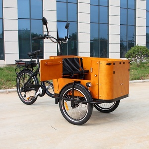 Tricycle électrique CE 250W/500W, normes européennes, trike de ville, tricycle électrique, vélo à trois roues, remorque cargo, vélo cargo électrique - Product Image 1