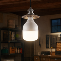 Ventes d'usine, nouvelle forme d'ampoule LED T, 50W 100W RA70-95 70-120lm/w, éclairage blanc chaud