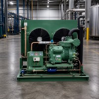Unité de condenseur à cadre ouvert robuste et refroidie par air avec double ventilateur pour chambres froides et entrepôts frigorifiques