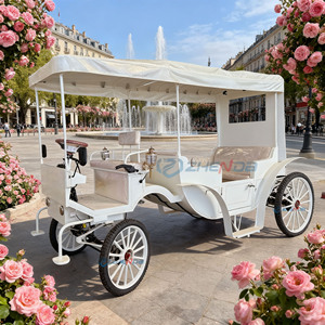 Carruaje Eléctrico Blanco Puro para Bodas, Carruaje para Paseos Turísticos, Carruaje Navideño con Luces - Product Image 1