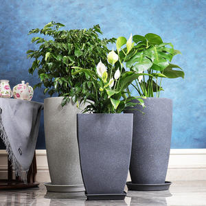 <span class=keywords><strong>Maceta</strong></span> <span class=keywords><strong>de</strong></span> plástico para balcón familiar, sala <span class=keywords><strong>de</strong></span> estar, jardín, extra grande, cuadrada, redonda, con parte trasera <span class=keywords><strong>de</strong></span> <span class=keywords><strong>tortuga</strong></span>, árbol rico <span class=keywords><strong>de</strong></span> bambú, Planta grande - Product Image 3