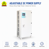 Npsune — programmateur à oxydation analogique réglable, 100a, 300a, 500a, 1000a, 2000a, 3000a, 12V, 24V