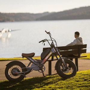 Bicicleta Eléctrica con Llantas Gruesas de 20 Pulgadas, 2000W, Batería de Litio, Cuadro de Acero al Carbono para Entrega de Comida - Product Image 5