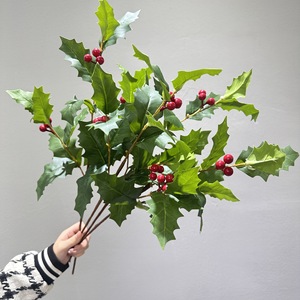 Nouvelle Conception Moderne <span class=keywords><strong>Plante</strong></span> Artificielle Végétale Écologique et Naturelle pour Décoration Intérieure et Extérieure, Richesse Hivernale Verte - Product Image 3
