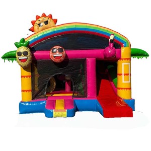 Castillo Inflable Tropical con Tobogán, Diseño de Flamencos Arcoíris, Comercial, de PVC, Combo de Casa de Brinco Hawaiana - Product Image 1