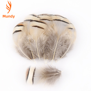 Plumas de Chukar Baratas al por Mayor de 2-4 Pulgadas para Manualidades, Bodas, Atrapasueños, Plumas de Ala Gris, Decoraciones de Carnaval y Navidad - Product Image 3