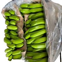 Bananes Cavendish fraîches, fruits tropicaux et subtropicaux, couleur verte, 12,5 kg, qualité A, stockage frigorifique, durée de conservation de 6 mois, marque WATSON
