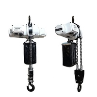 250kg 500kg 1000kg 110V/220V monophasé Portable Mini palan à chaîne électrique pour le levage
