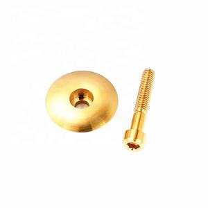 チタン整形外科用窒化物PVコーティングボルトねじチタン - Product Image 5