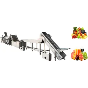 Linha de produção semiautomática de suco de frutas VBJX para processamento de produtos concentrados pequenos de abacaxi e romã