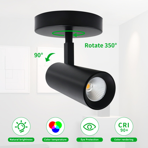 <span class=keywords><strong>Rail</strong></span> commercial imperméable d'éclairage de voie monté en surface d'intérieur Dimmable Spotlight Landscape 12w 20w House Led <span class=keywords><strong>Spot</strong></span> Lights - Product Image 4