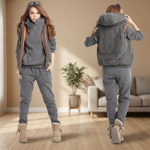 Ensemble de sweat-shirts en molleton à capuche pour femmes, couleur unie gris, décontracté, à porter en automne/printemps, avec fermeture éclair et logo imprimé sur le devant, 100% coton - Product Image 5