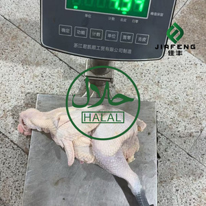 Poulet entier congelé cuit halal, poulet entièrement halal - Product Image 5
