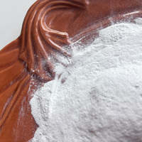 SAPP Pyrophosphate dihydrogène disodique, Pyrophosphate acide de sodium 7758-16-9