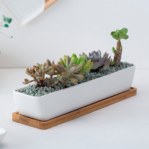 Dropshipping, maceta suculenta de cerámica blanca de 11,1 pulgadas, platillos de bambú, forma rectangular Rectangular para el hogar, jardín y oficina - Product Image 3