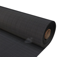 30 60 80 100 Pak layar ekstruder jaring kain jala kawat hitam cakram filter