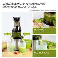 LGO 220V Multifunctionele professionele slowjuicer van roestvrij staal voor juicebars