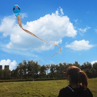 Grand cerf-volant en forme de serpent volant pour l'extérieur, clou doux, queue longue, animal, vente en gros,