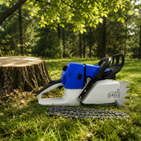 Factory Price <strong>Hot</strong> <strong>Sells</strong> <strong>Chainsaw</strong> 660 with 25inch Bar and Chain Customized Gasoline Engine for Garden Logging Work