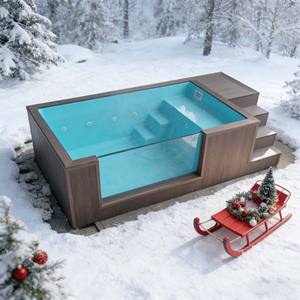 Piscinas de Fibra de Vidrio de Tamaño Pequeño, Piscinas Elevadas de Madera WPC, Piscinas Infantiles Personalizadas, Piscinas Modernas para Hoteles, Piscinas en Contenedores de Envío - Product Image 2