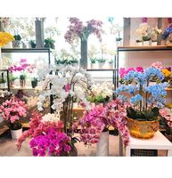 Fleurs artificielles de haute qualité en gros, effet 3D, imprimées, orchidées papillon pour la décoration de restaurants, maisons, jardins et mariages