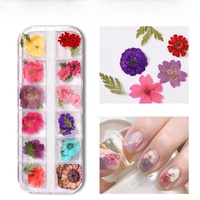 Bunga Kering Jepang untuk Kuku, Kotak Panjang 12 Grid, Gypsophila, Bunga Daisy Kecil, Dekorasi Seni Kuku