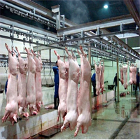 Chaîne de production d'abattage de porcs clé en main haute productivité, ligne d'abattage en acier motorisée pour viande de porc, usine d'abattage de boucherie, marque Maisheng