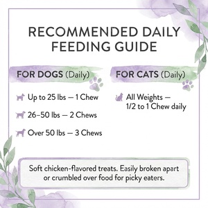 Venta al por mayor OEM: Masticables blandos para <span class=keywords><strong>el</strong></span> tracto urinario de mascotas con arándano y D-Manosa para perros y gatos, soporte para la vejiga, proveedor de marca privada personalizada. - Product Image 4