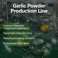 Knoflookpoeder verwerkingslijn Knoflookpoeder productiemachine Knoflookproductielijn Knoflookpoeder productielijn