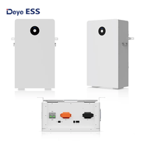 Haute efficacité Deye ESS RW-F16 LiFePO4 batterie basse tension 51.2V 60V 314Ah 16kwh LiFePO4 batterie solaire Batteries au lithium-ion