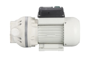 <span class=keywords><strong>Pompe</strong></span> auto-amorçante à membrane 40L/min fabriquée par le fabricant 12V/24V/110V/220V <span class=keywords><strong>Pompe</strong></span> de livraison automatique liquide urée <span class=keywords><strong>AdBlue</strong></span> - Product Image 6