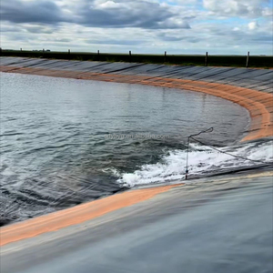 Mới đến tùy chỉnh 2mm đen HDPE geomembrane tấm nhựa không thấm nước cho thiết kế công nghiệp - Product Image 5