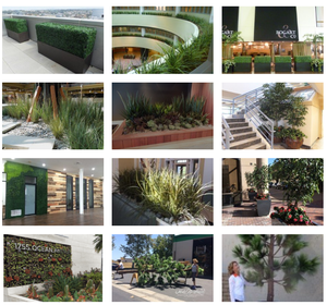 Оптовая продажа, синтетическая огнестойкая крыша для беседки - Product Image 6