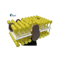 Modèle de structure de membrane cellulaire - Kit de modélisation de mosaïque fluide pour l'enseignement de la biologie et la démonstration scientifique