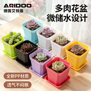กระถางดอกไม้พลาสติกทรงสี่เหลี่ยม Airi Shield พร้อมถาดรองรับน้ำ สำหรับปลูกไม้อวบน้ำ วางบนระเบียงหรือโต๊ะ - Product Image 2
