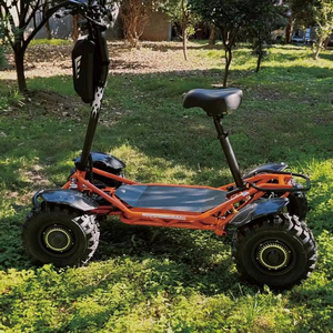 Mini Scooter de Cuatro Ruedas, Motor de 2400W, Suspensión Completa, Batería de Litio de 30AH, Plegable, Impermeable, 100kg, EA009MINI, Mini Todoterreno Eléctrico - Product Image 4