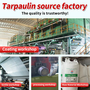 Bâche imperméable en PE pour jardin, auvent extérieur, voile d'ombrage, bâche de protection pour bateau, camion, niche pour chien - Product Image 6