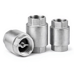 Clapet anti-retour fileté BSP en acier inoxydable 1,5 po pour conduite d'eau - Product Image 1