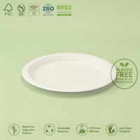 Assiette de service ovale de 12 pouces en bagasse de canne à sucre, sans BPA, biodégradable, compostable, pour les fêtes, les plats à emporter et la restauration